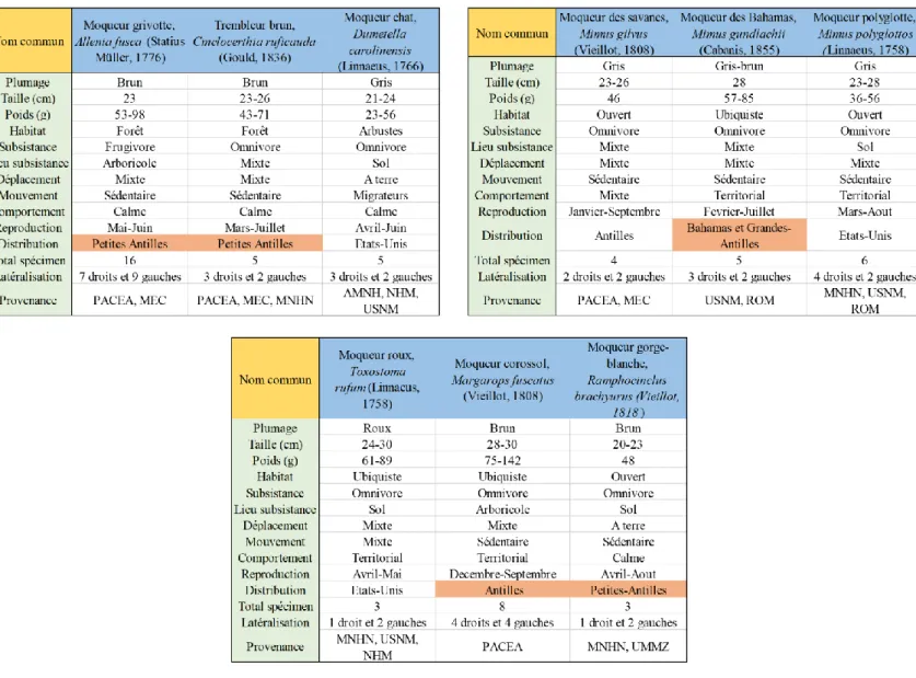 Tableau 1 : Tableau descriptif du corpus d'échantillons, d'après des informations issues  de Cody (2005) et Raffaele et al,