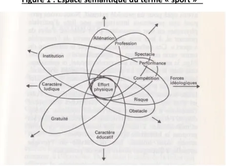 Figure 1 : Espace sémantique du terme « sport » 13