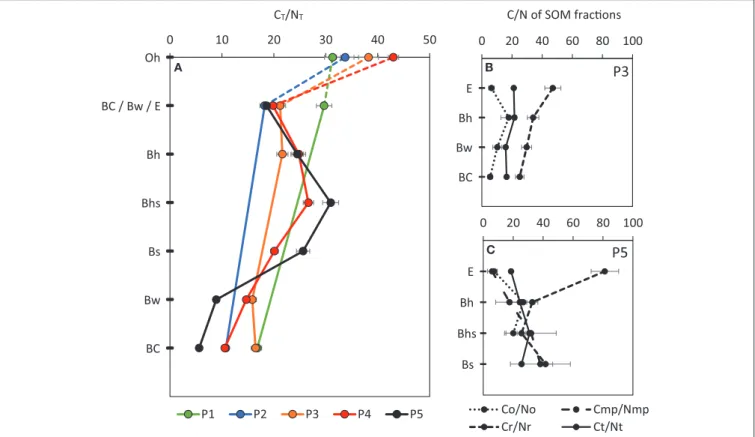 FIGURE 4 | (A) Evolution of the C T /N T ratio of the 5 profiles of increasing age: P1–120 years, P2–175 years, P3–270 years, P4–330 years, and P5–530 years.