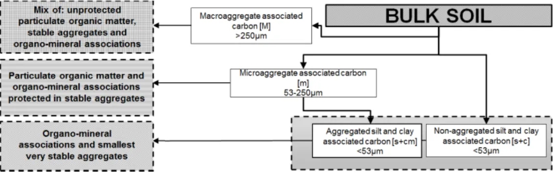 Figure 1. The resulting fractions of the applied fractionation scheme and interpretation of the present carbon stabilization mechanisms in each fraction.
