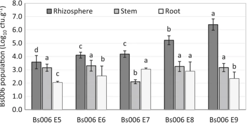 Fig. 6 Effect of B. velezensis Bs006 dose applied to cape gooseberry seedlings growing in non-sterile substrate on its population in the rhizosphere and tissues