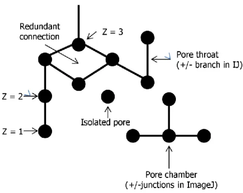 Figure 10. 2D schematic view of a pore network with several microscopic parameters  represented