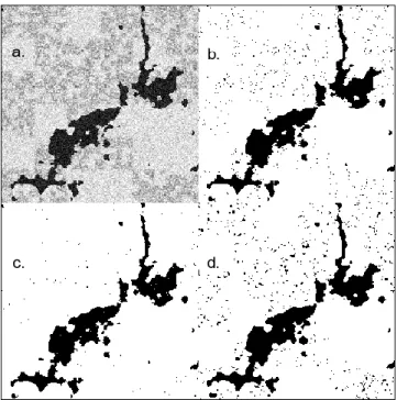 Figure 14. Image #10 at various steps: (a) simulated image 10; (b) Otsu segmentation; (c)  PBA segmentation and (d) IK/GM segmentation