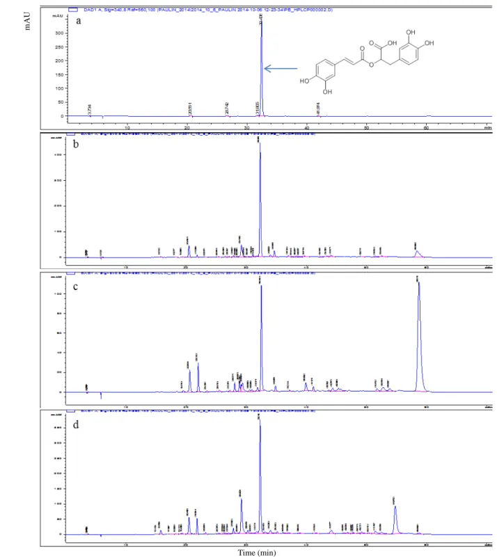 Figure 2. HPLC-DAD chromatograms of Rosmarinic acid (a) and methanolic extracts from O