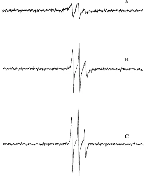 Fig. 7. ESR spectra of poly(tBMA) formed in water by the NaNO 2 /ascorbic acid/ 