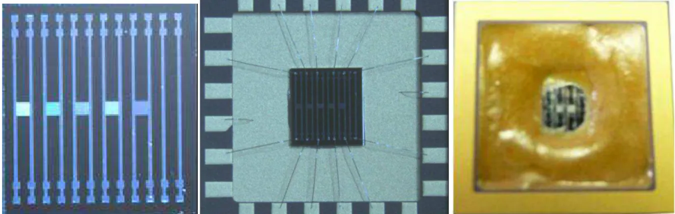 Fig.  1:  From  left  to  right:  the  singulated  sensor  die,  the  sensor  die  is  mounted  and  wire-bonded to the DIL24 package, partially encapsulated sensor die