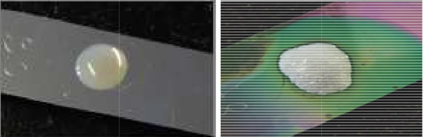 Fig.  2:  The  encapsulant  before  release  (left),  and  change texture to a granular du