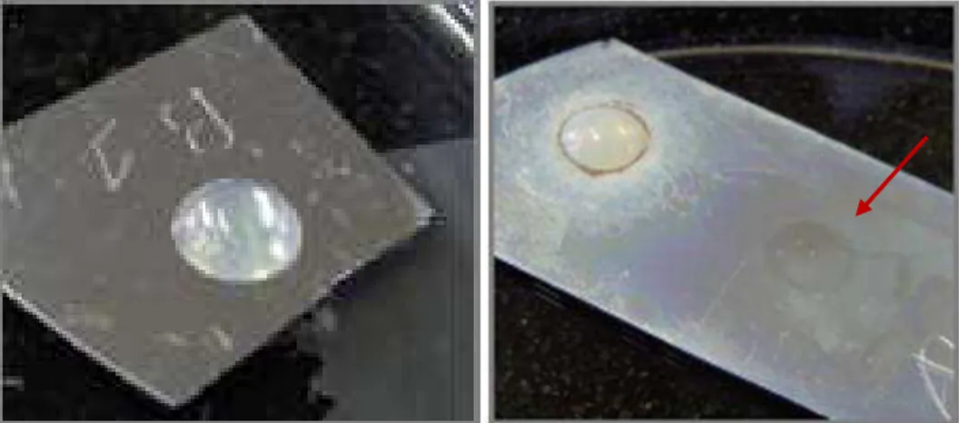 Fig. 3: The encapsulant before release (left), and after release (right), the droplet (on  the right part of the image) is peeled off during the release, whereas the droplet (on  the  left  of  the  image)  remains  on  the  surface,  hence  delamination  