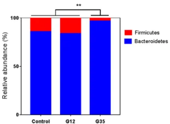 Figure 5. Relative abundance (%) of main genera in mice fecal microbiota after chicory diet