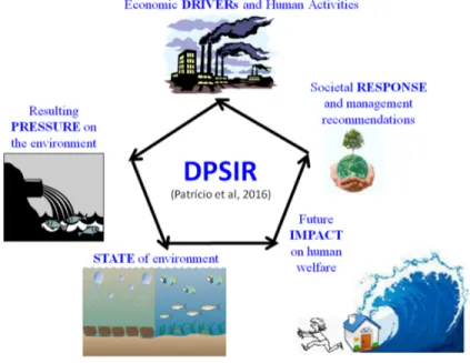 Fig. 2. DPSIR framework (Patrício et al. 2016).