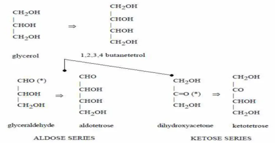 Figure 1 : la distinction entre aldose et cétose. 