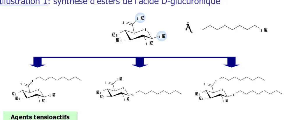 Illustration 1: synthèse d’esters de l’acide D-glucuronique
