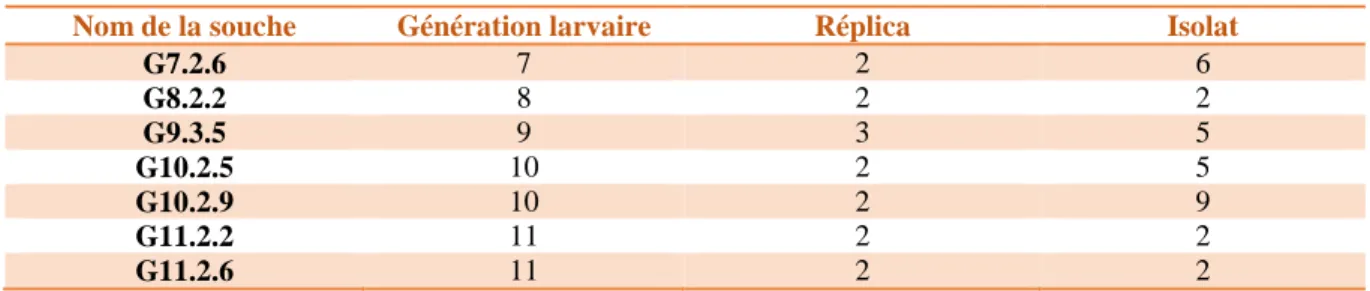 Tableau 1 : Description des souches sélectionnées pour l’analyse comparative et la recherche de mutations