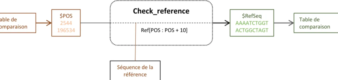 Figure 7 : La fonction Check_reference cherche la série de dix bases qui suit la position de la mutation dans le  vecteur de référence