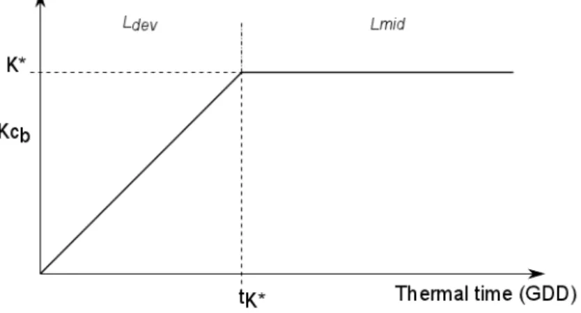 Figure 3.1 – Courbe théorique de l’évolution du Kc B au cours de la saison [1].
