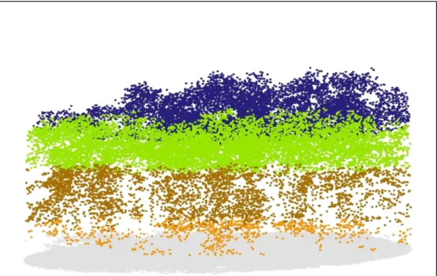 Figure 2:Exemple de nuage LiDAR sur une  placette colorié en fonction des  niveaux de hauteur( Bock et al