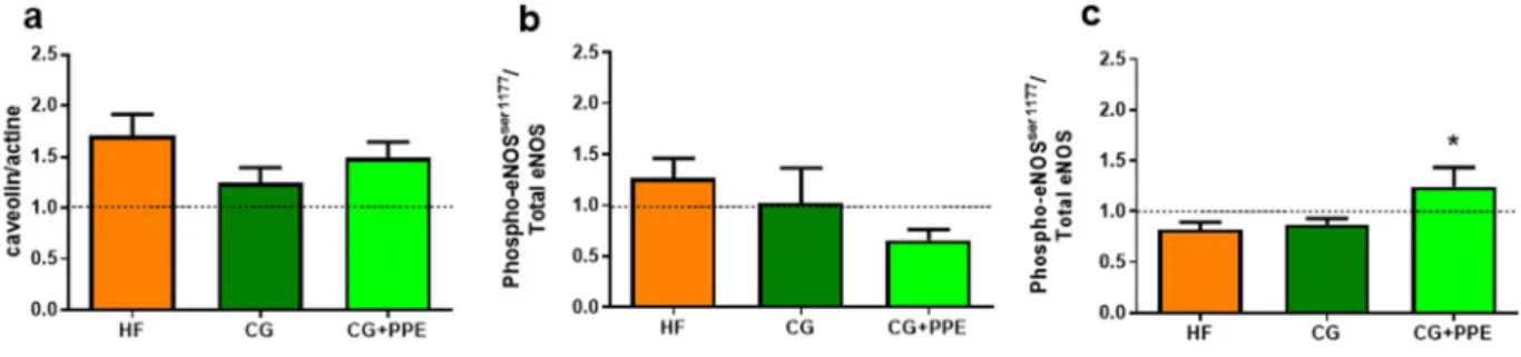 Figure 5.  Endothelium-dependent relaxation of preconstricted mesenteric arteries and level of Hb-NO in  venous blood