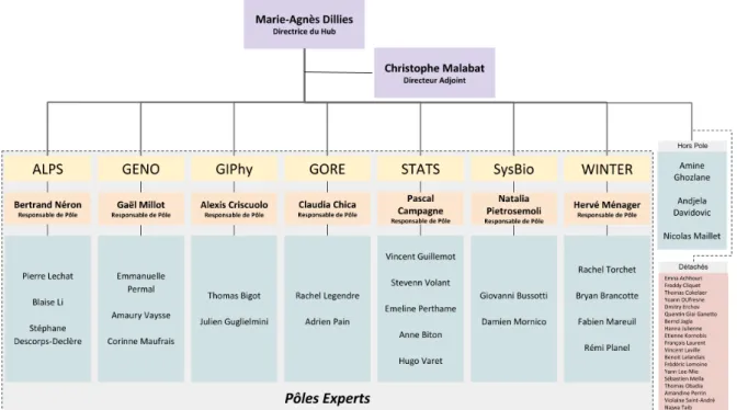 Figure 1 – Organigramme du HUB de biostatistiques et bioinformatique.