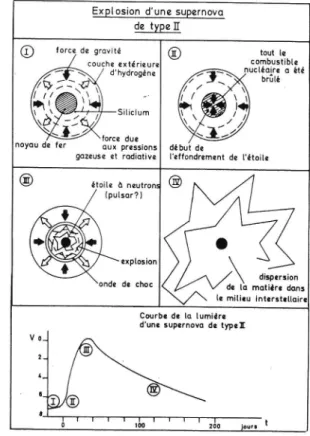 Figure  6 - Les  dittérentes  phases  de  I'explosion  d'une  supernova  de  type  ll