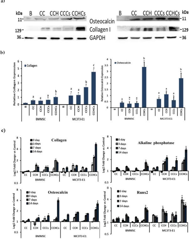 Figure 7. Protein (a,b) and mRNA expression (c) of bone cells. (a,b) Western blot analysis of collagen  I and osteocalcin proteins expressed in bone cells