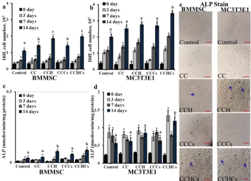 Figure 3. The effect of chitosan-collagen-based bio-mimic 3D matrices on bone cells’ differentiation  (a,b), cellular alkaline phosphatase (ALP) (c,d) (Supplementary Figure S1 shows the level of ALP  normalized with the cell number), and histological stain