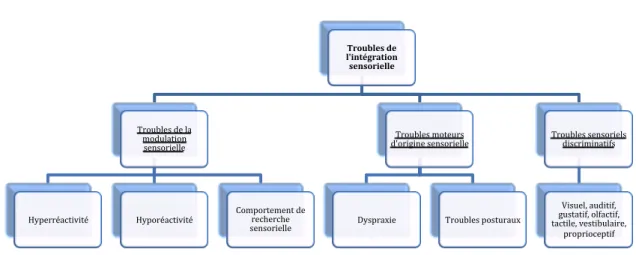 Figure 1. Classification diagnostique 