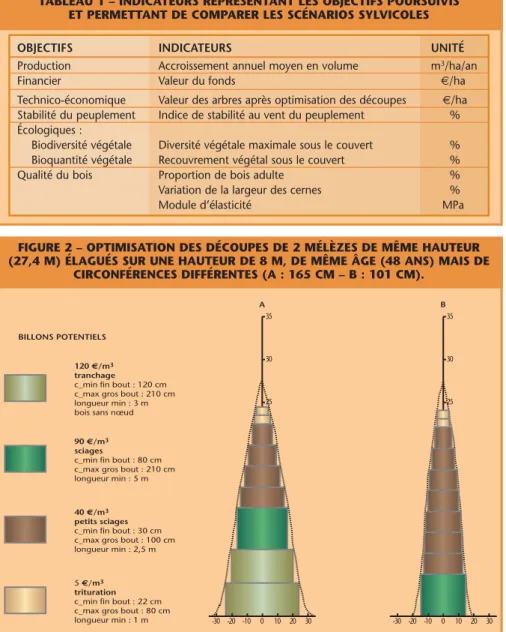 FIGURE 2 – OPTIMISATION DES DÉCOUPES DE 2 MÉLÈZES DE MÊME HAUTEUR (27,4 M) ÉLAGUÉS SUR UNE HAUTEUR DE 8 M, DE MÊME ÂGE (48 ANS) MAIS DE