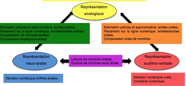 Figure 4. Localisation des épreuves au sein du Triple Code. 