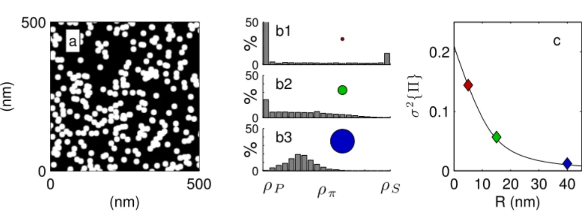 Fig. 2. When the procedure of Figure 1 is applied to a given structure (a) with probe volumes of increasing sizes (red, green, and blue disks with radii R), the  corre-sponding distributions of the local average-density ρ π are size-dependent (b1 to b3)
