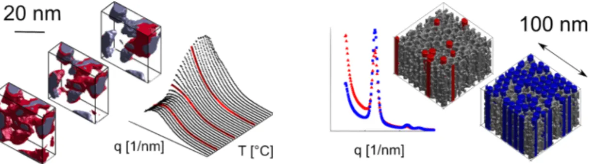 Figure 1.  Examples of porous nanostructures reconstructed from small-angle scattering  data