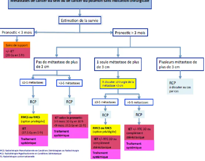 Figure 2 : Recommandation de l’ANOCEF 2014 pour les métastases cérébrales 