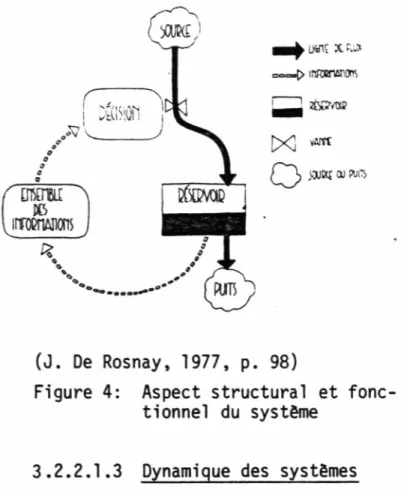 Figure  4:  Aspect  structural  et  fonc­