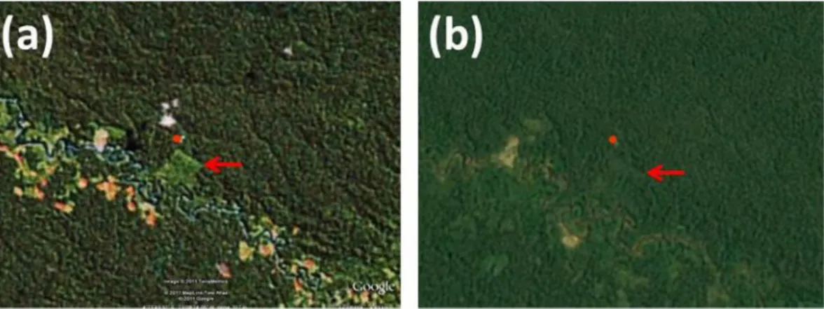 Figure 6.  Satellite image of EBQB and surrounding areas.  : location of the field station;  : secondary forest  area
