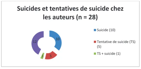 Figure 6. Synthèse sur les suicides et tentatives de suicide des auteurs. 