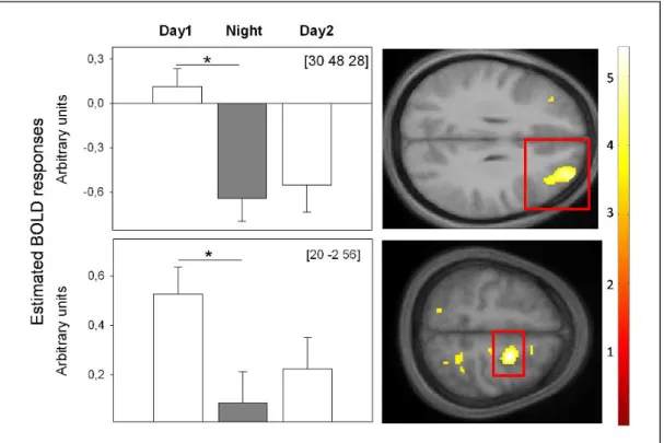 Figure  5.  BOLD  activity  underlying  successful  WM  during  total  SD.  BOLD  activity  was  assessed  during  hit  targets in  a  3-back  task  after  13  h  (Day  1),  21  h (Night)  and  37  h (Day  2) of continuous  wakefulness in constant posture 