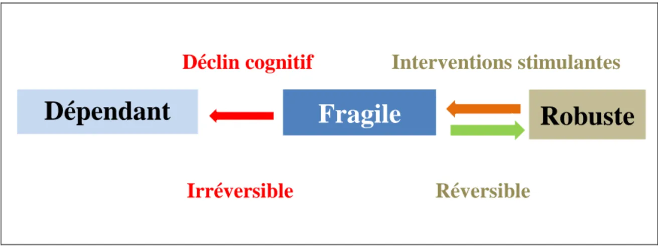 Figure 2 : Prévenir la perte d’autonomie en intervenant sur les facteurs modifiables (source :  http://cnks.org/le-parcours-de-santé-du-sujet-fragile) 