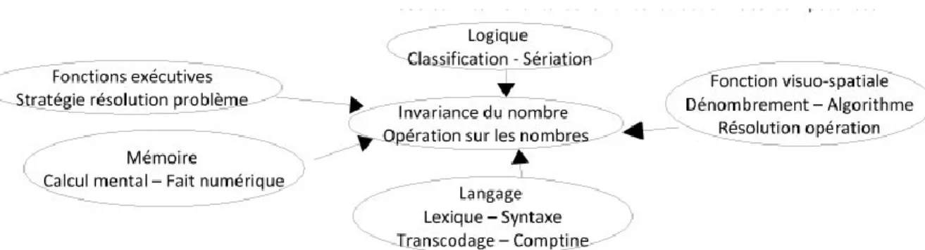 Figure 4 : Mazeau (1999) 