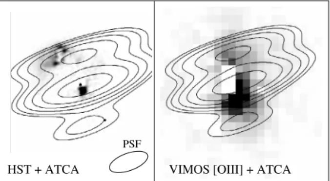 Fig. 13. Radio map obtained from the ATCA observations of Feain et al. (2007), overlaid on the deconvolved HST image (left) and on the VIMOS [OIII] image (right)