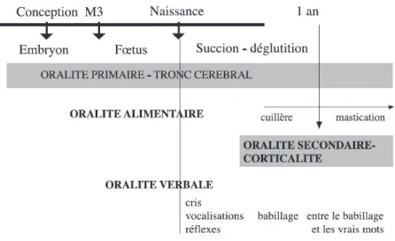 Figure 3 - Les oralités 