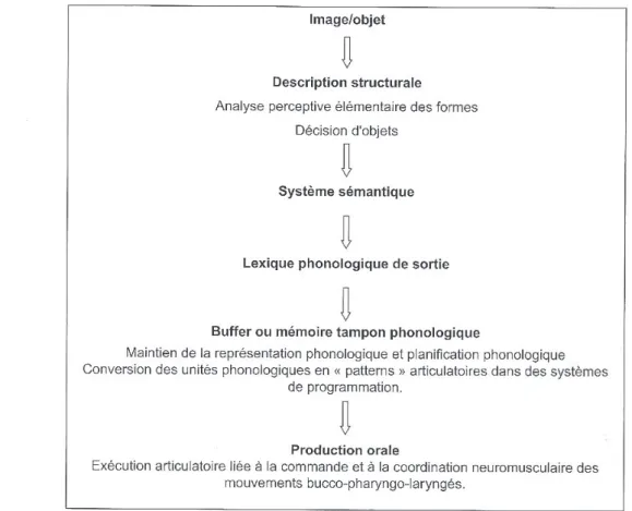 Figure 4 : Processus de dénomination 