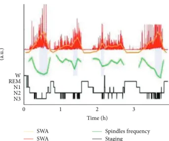 Figure 7: Example of time course of Slow Wave Activity (SWA) and spindle frequency dynamics throughout sleep in the anterior cingulate of one individual