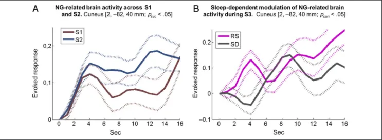 Figure 4. Averaged time courses over individuals for the main NG-related coordinate (i.e., the cuneus at 2, −82, 40 mm; p corr < .05)