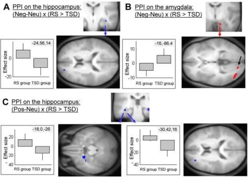 Figure 5. Psychopysiological Interactions