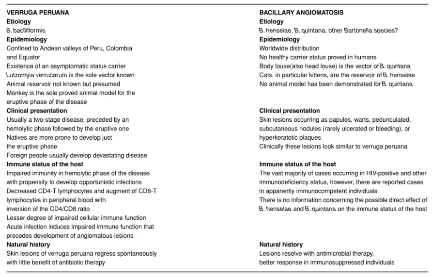 Table 2 Similarities and differences between verruga peruana and bacillary angiomatosis