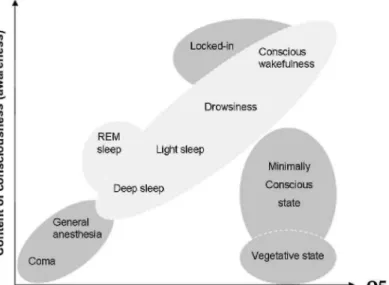 Fig. 1. Level of arousal