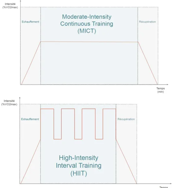 Figure 3: Schémas descriptifs du &#34;Moderate intensity continuous training&#34;