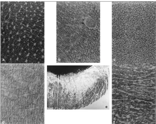Figure 1 . Capacitance imaging of the skin surface of six anatomical sites. A) Lateral side of the neck with numerous pore openings, B) Abdomen