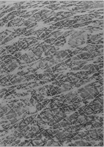 Figure 3 . Onset of the sweating process. Black spots corre- corre-spond to very high capacitance zones due to the presence of