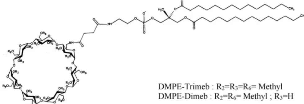Fig. 1. Chemical structure of the phospholipidyl-cyclodextrin: DMPE-Dimeb and DMPE-Trimeb.