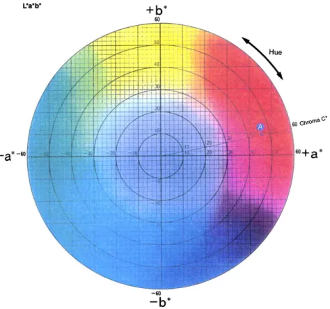 Fig. 2. Colour wheel in the plane of the a* and b* axis.